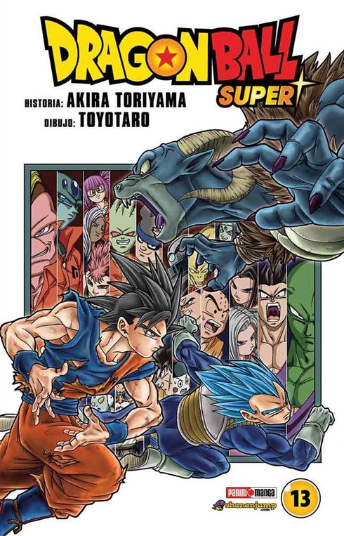 Dragon Ball Super 13